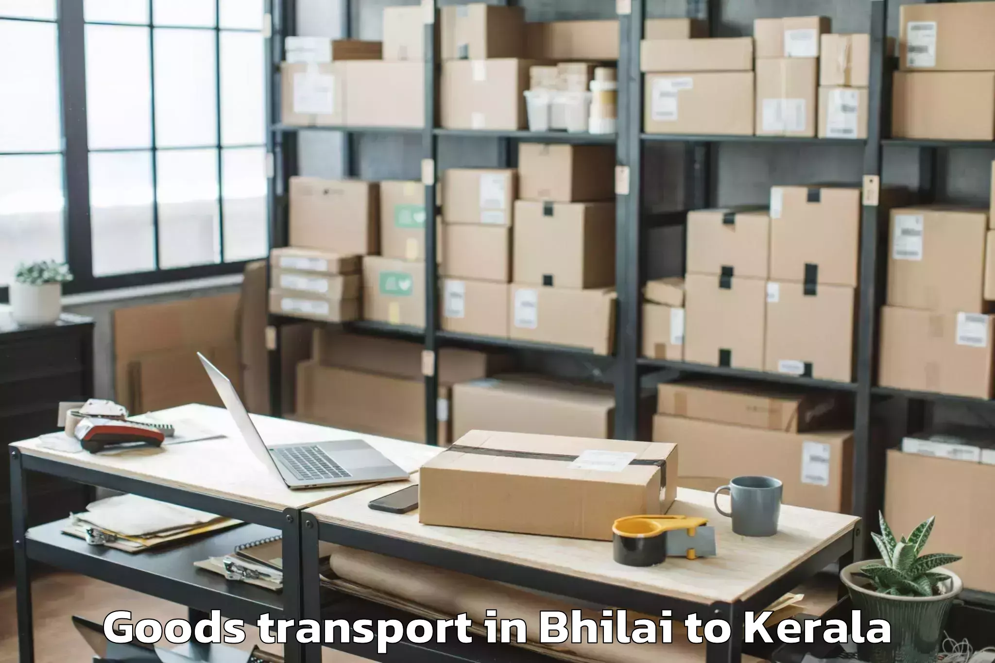 Leading Bhilai to University Of Calicut Tenhipal Goods Transport Provider